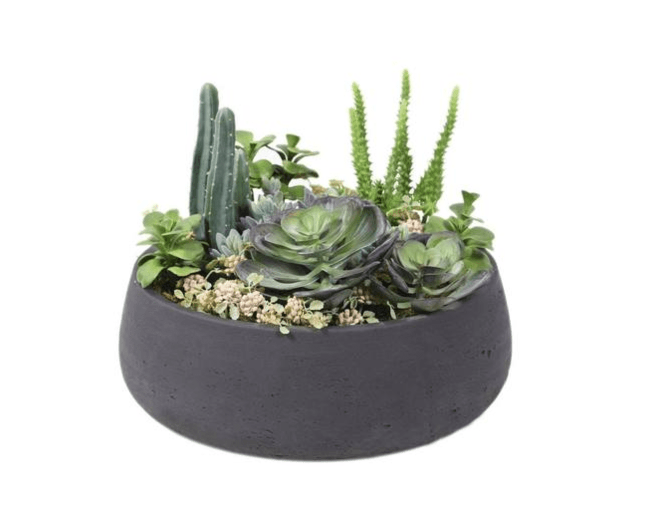 Bloom Faux Succulent