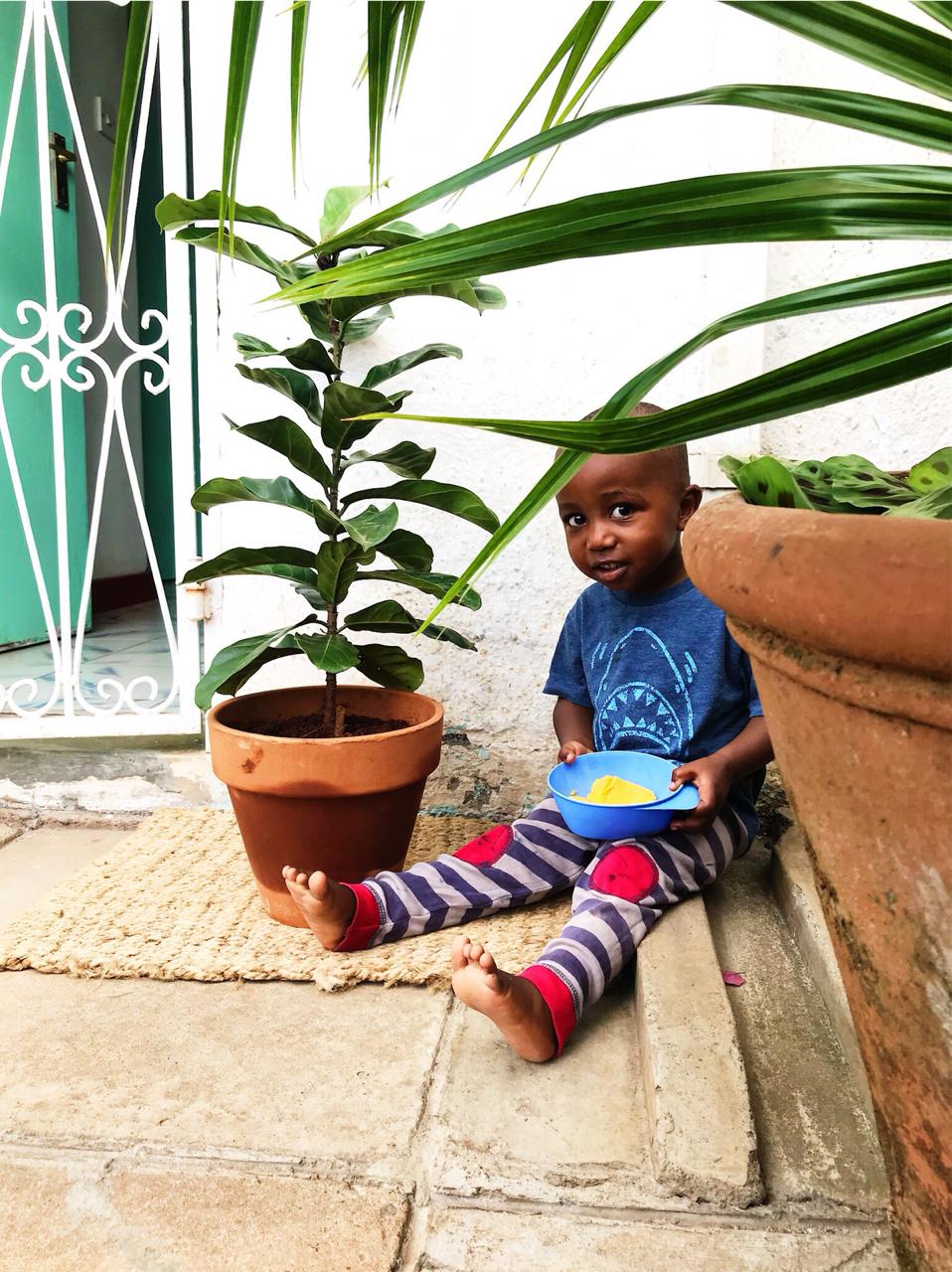 Theo with Fiddle Leaf Fig